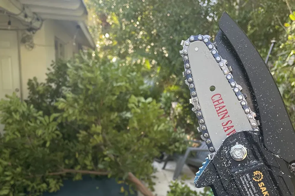 what to look for when buying a mini chainsaw