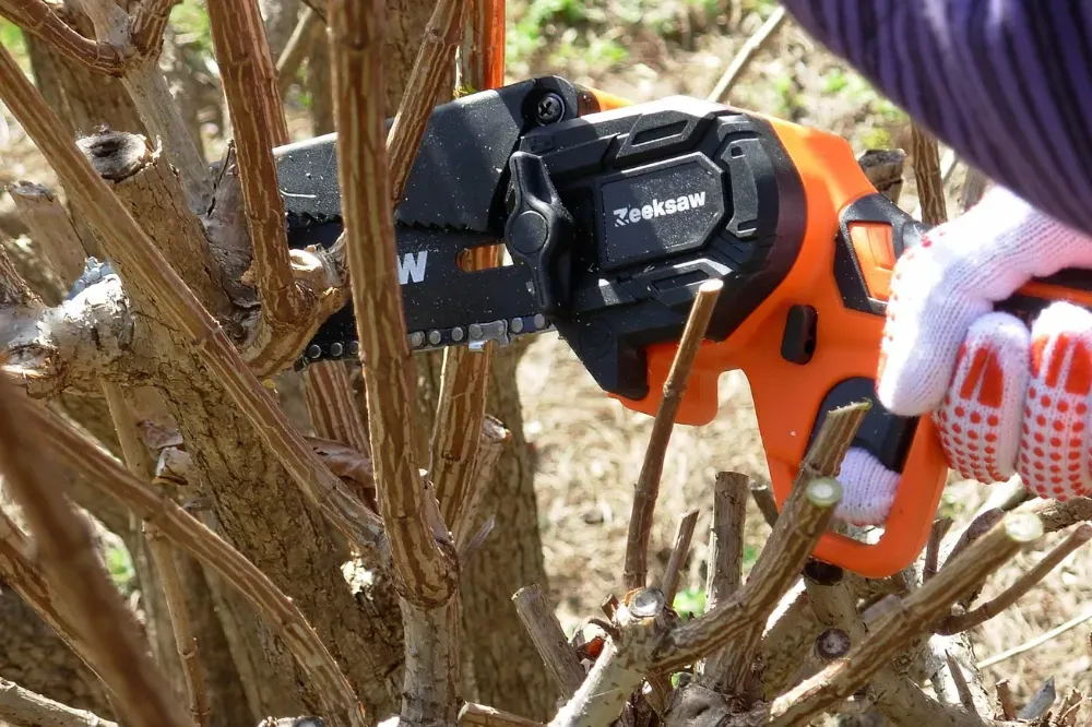 what to look for when buying a mini chainsaw