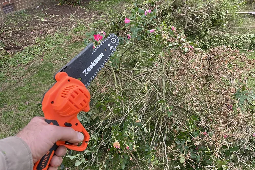 what to look for when buying a mini chainsaw