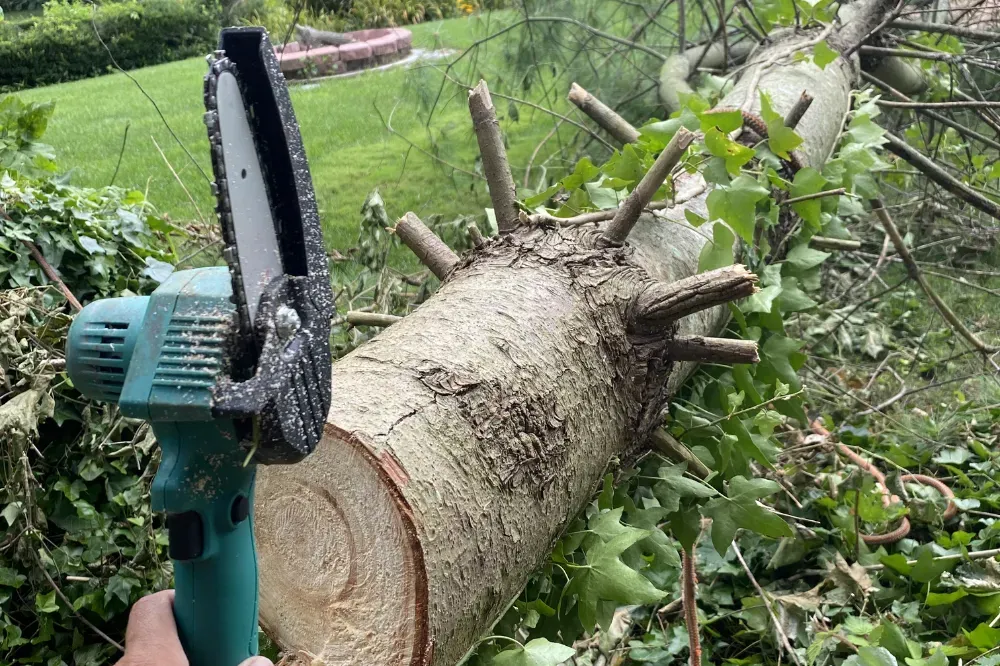 what to look for when buying a mini chainsaw